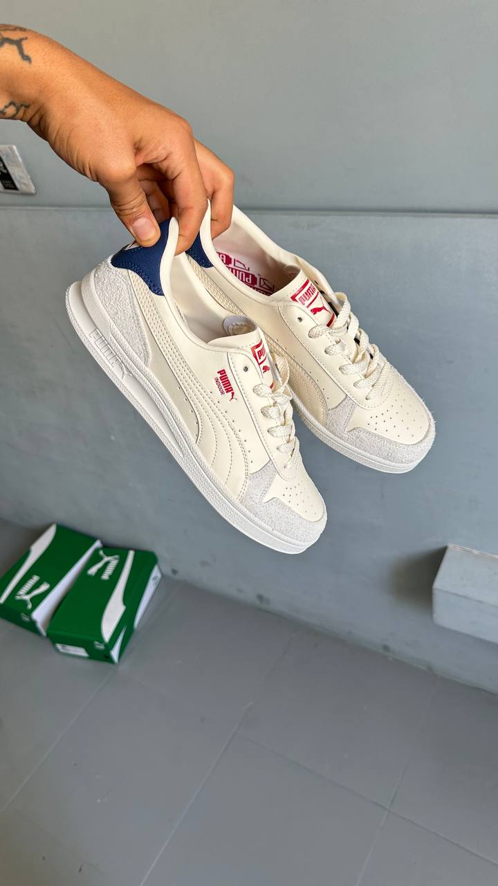 Puma Indoor