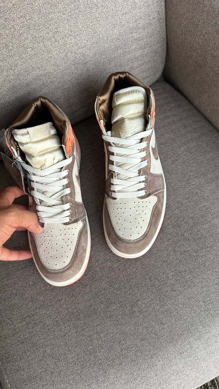 Jordan 1 Retro High OG Dusted Clay