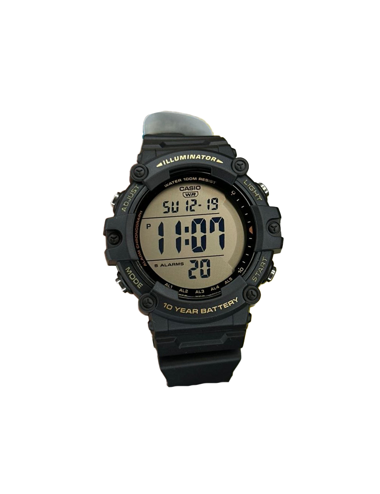 Casio Watch