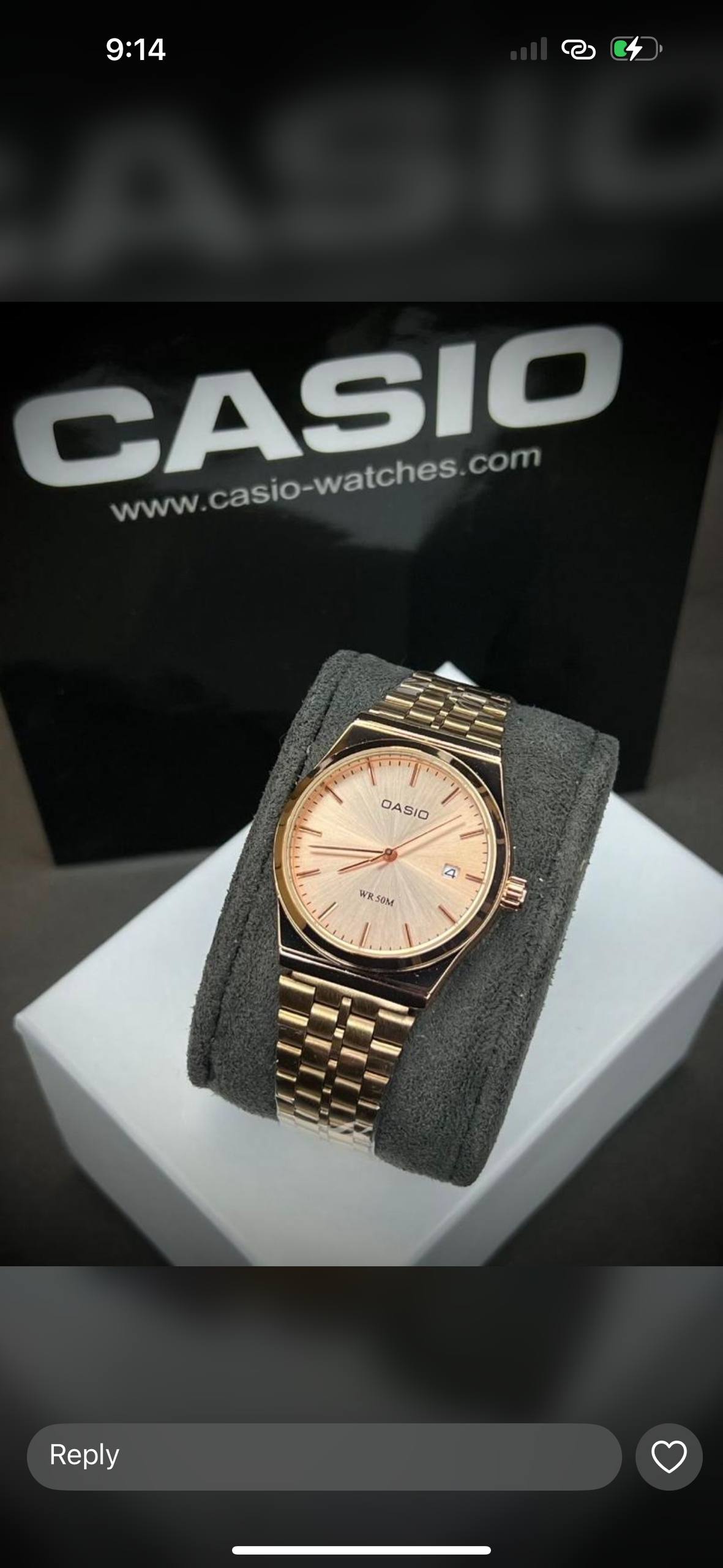 Casio Watch