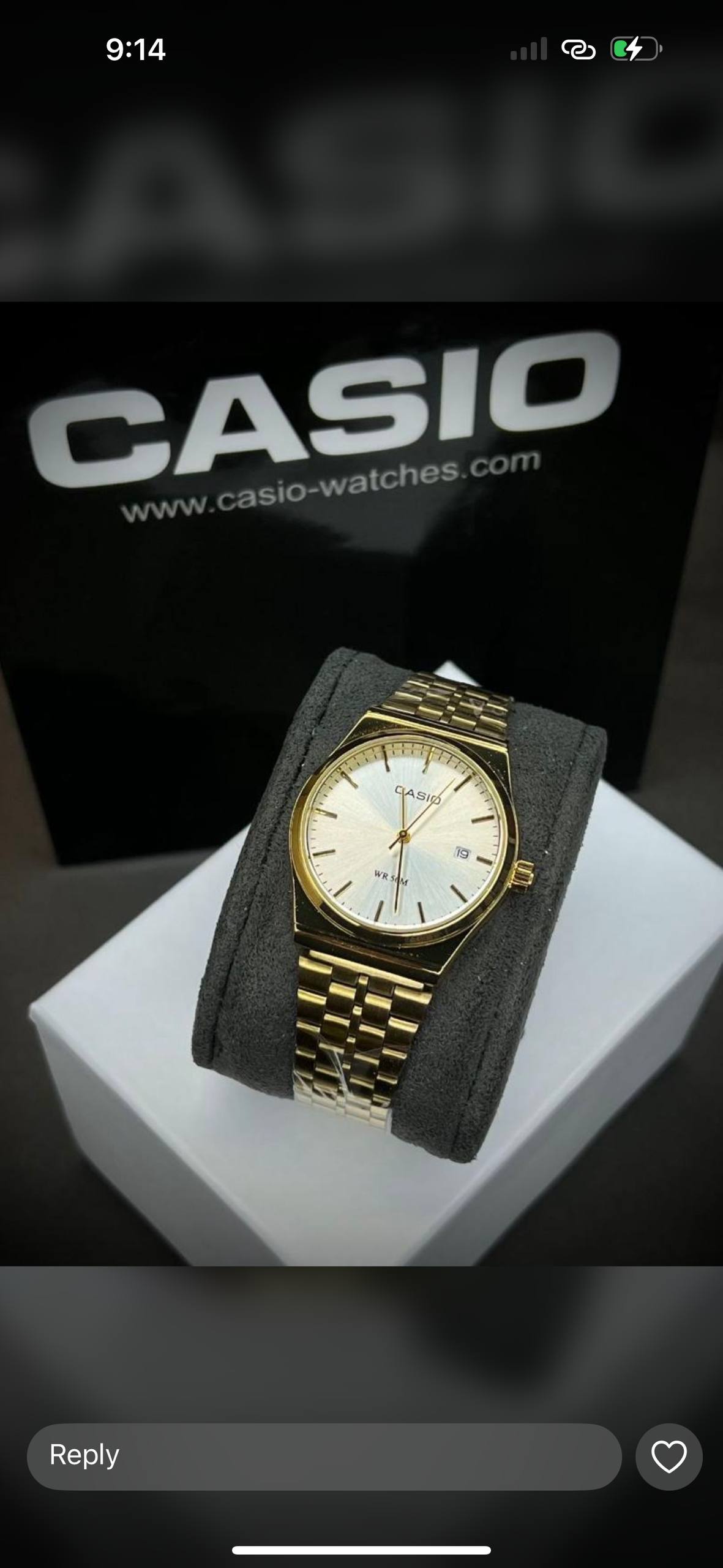 Casio Watch